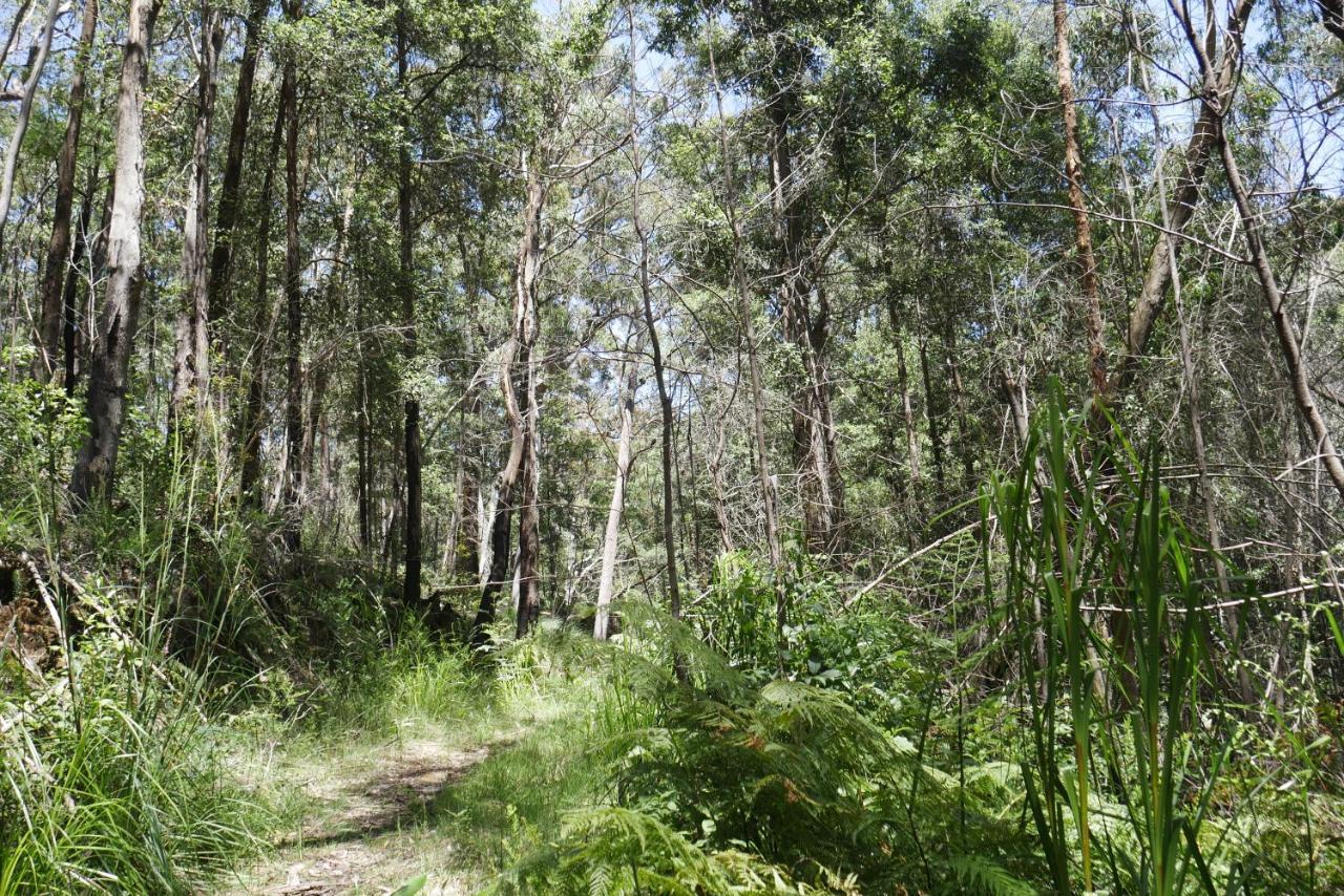 True North - 4Br Home & Garden In Bush Setting With Huge Bath Bilpin Luaran gambar