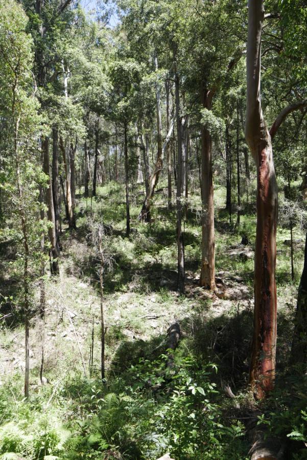 True North - 4Br Home & Garden In Bush Setting With Huge Bath Bilpin Luaran gambar