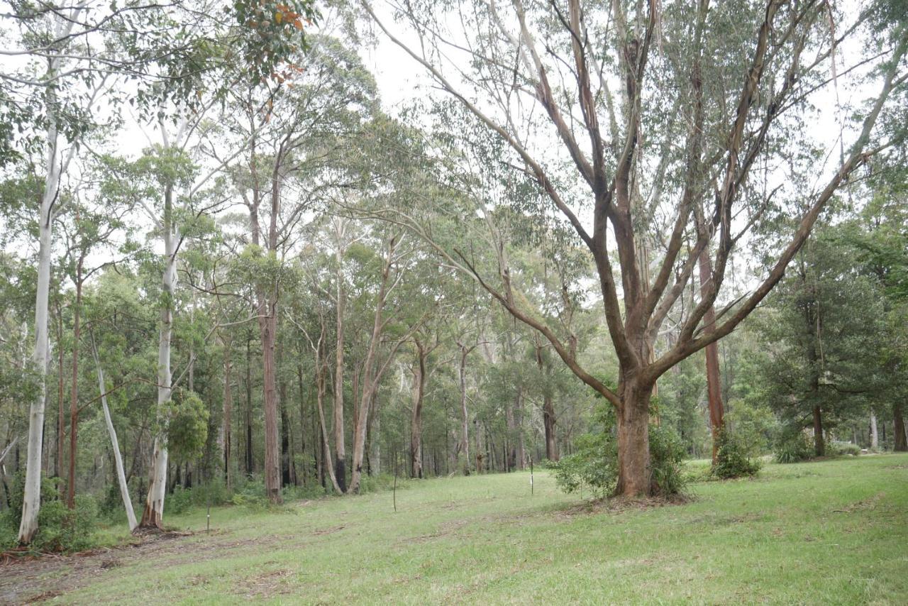 True North - 4Br Home & Garden In Bush Setting With Huge Bath Bilpin Luaran gambar