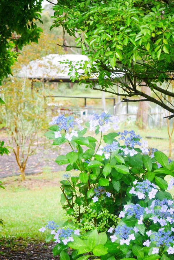 True North - 4Br Home & Garden In Bush Setting With Huge Bath Bilpin Luaran gambar